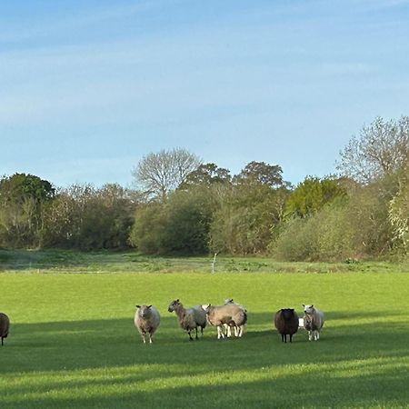 Oak Barn In The Cotswolds Near Moreton In Marsh Shipston-on-Stour ภายนอก รูปภาพ