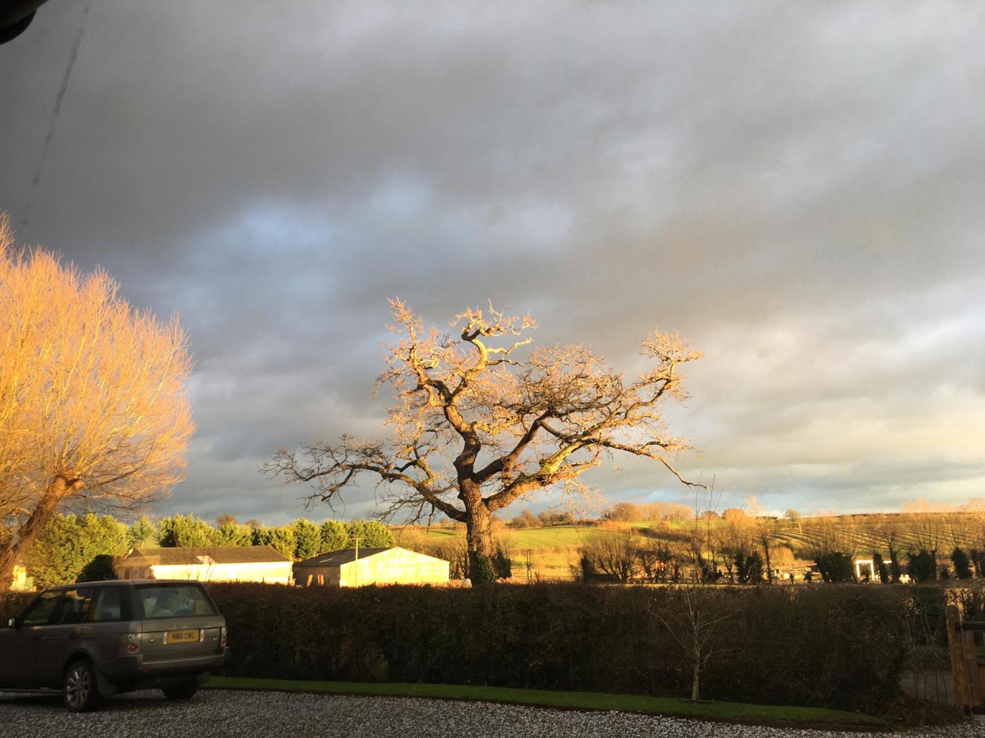 Oak Barn In The Cotswolds Near Moreton In Marsh Shipston-on-Stour ภายนอก รูปภาพ