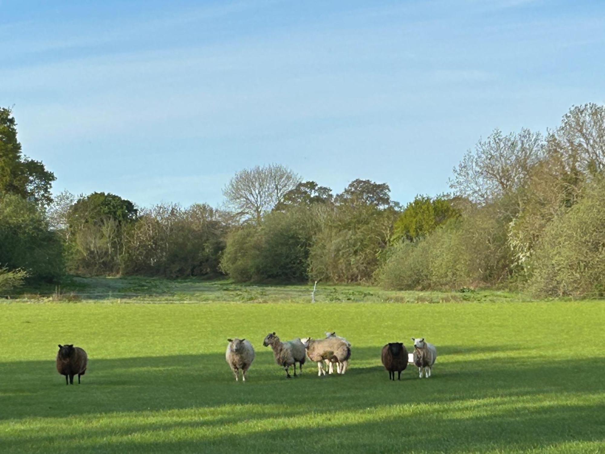 Oak Barn In The Cotswolds Near Moreton In Marsh Shipston-on-Stour ภายนอก รูปภาพ